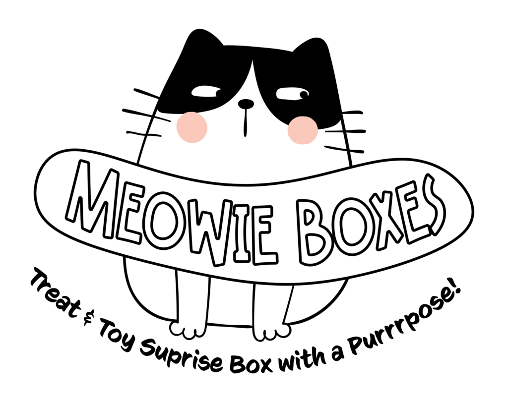 meow2.webp